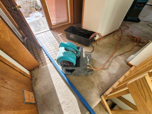 Best Ceiling water damage repair  in Falcon Heights, MN