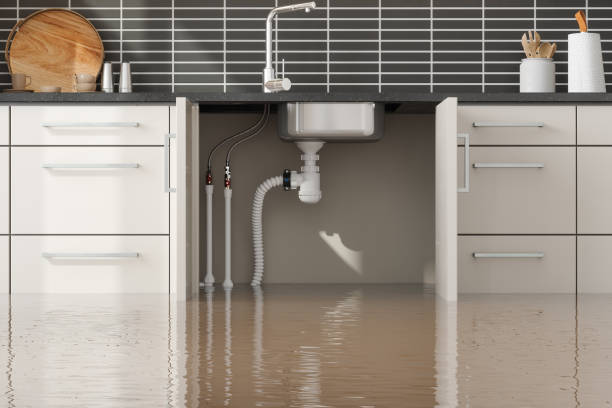 Best Commercial water damage restoration  in Falcon Heights, MN