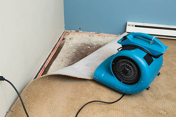 Best Sewage cleanup and water damage restoration  in Falcon Heights, MN